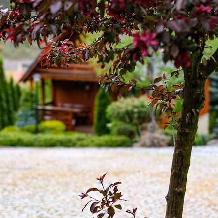 Domki U Basi Villa Kudowa-Zdrój Esterno foto