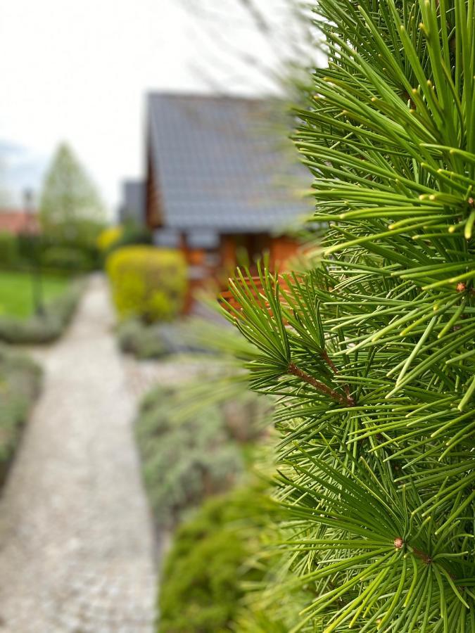 Domki U Basi Kudowa-Zdrój Esterno foto