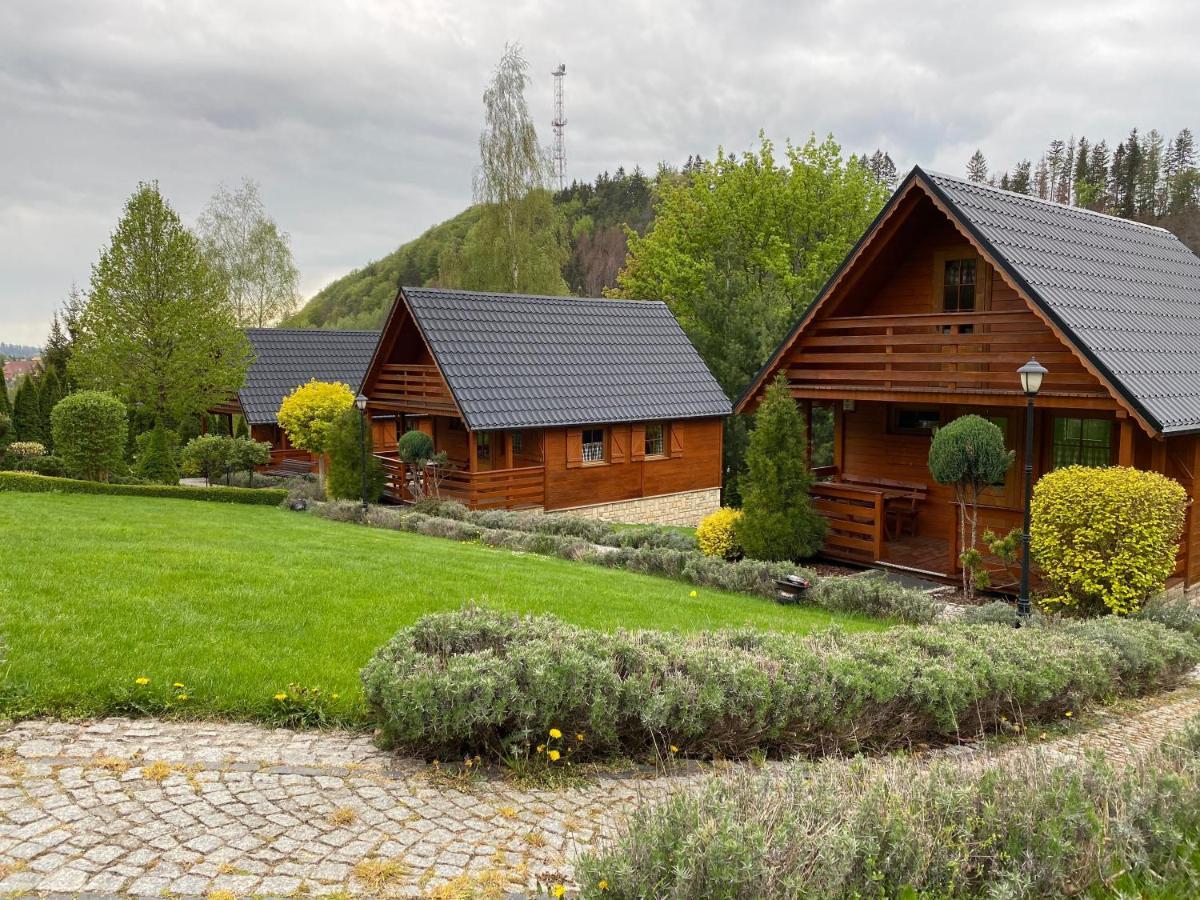 Domki U Basi Villa Kudowa-Zdrój Esterno foto