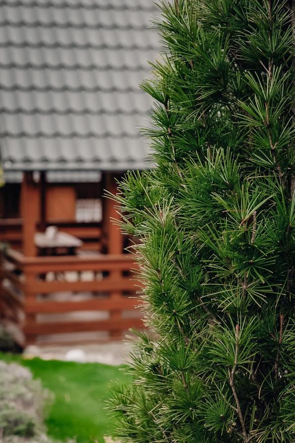 Domki U Basi Kudowa-Zdrój Esterno foto