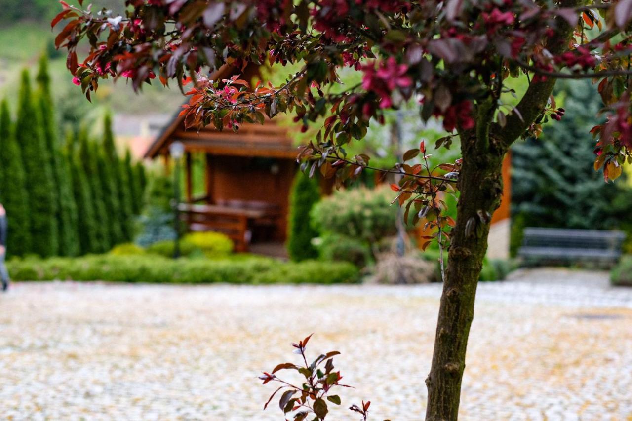 Domki U Basi Villa Kudowa-Zdrój Esterno foto