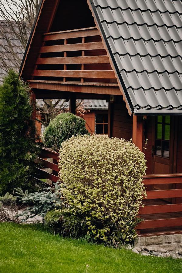 Domki U Basi Kudowa-Zdrój Esterno foto